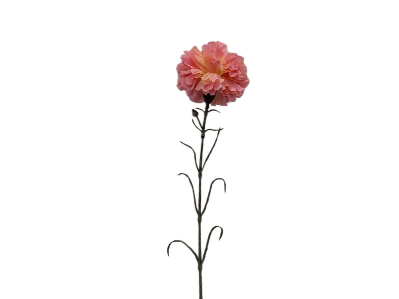 https://cdn.warentuin.nl/media/catalog/product/S/C/SCAN2500000247477_buitengewoon_de_boet_kunstbloem_kunst_anjer_tak_0c92.jpg