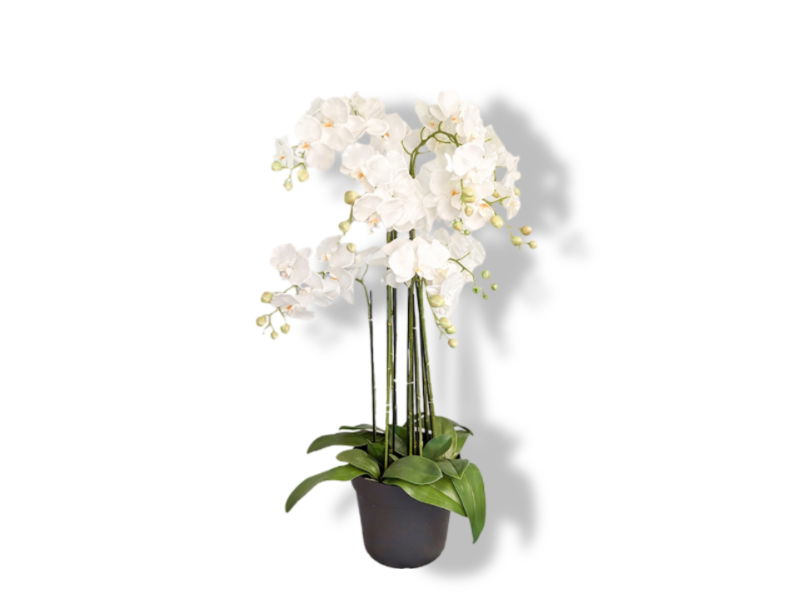 https://cdn.warentuin.nl/media/catalog/product/S/C/SCAN2500000250040_01_buitengewoon_de_boet_kunstbloem_orchidee_kunstp_232d.jpg