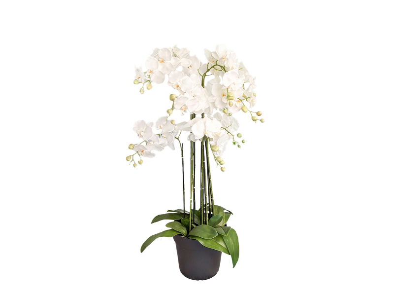 https://cdn.warentuin.nl/media/catalog/product/S/C/SCAN2500000250040_buitengewoon_de_boet_kunstbloem_orchidee_kunstp_f94c.jpg