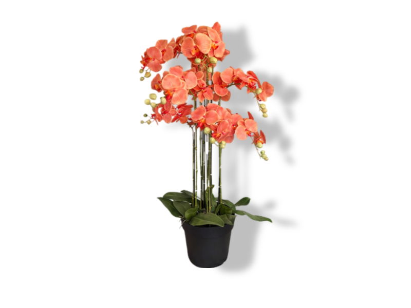 https://cdn.warentuin.nl/media/catalog/product/S/C/SCAN2500000250057_01_buitengewoon_de_boet_kunstbloem_orchidee_kunstp_07ae.jpg