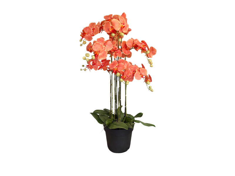 https://cdn.warentuin.nl/media/catalog/product/S/C/SCAN2500000250057_buitengewoon_de_boet_kunstbloem_orchidee_kunstp_fb38.jpg
