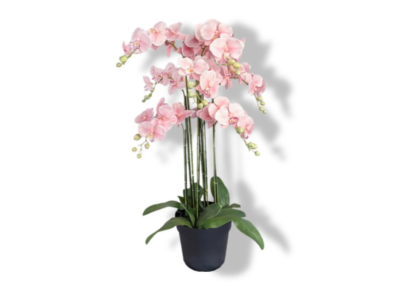 https://cdn.warentuin.nl/media/catalog/product/S/C/SCAN2500000250064_01_buitengewoon_de_boet_kunstbloem_orchidee_kunstp_e3ce.jpg