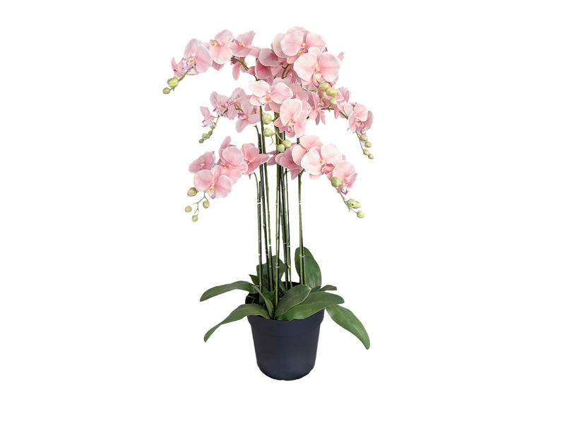 https://cdn.warentuin.nl/media/catalog/product/S/C/SCAN2500000250064_buitengewoon_de_boet_kunstbloem_orchidee_kunstp_08d6.jpg