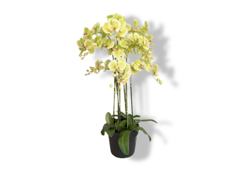 https://cdn.warentuin.nl/media/catalog/product/S/C/SCAN2500000250071_01_buitengewoon_de_boet_kunstbloem_orchidee_kunstp_7558.jpg