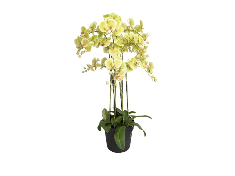 https://cdn.warentuin.nl/media/catalog/product/S/C/SCAN2500000250071_buitengewoon_de_boet_kunstbloem_orchidee_kunstp_8e94.jpg