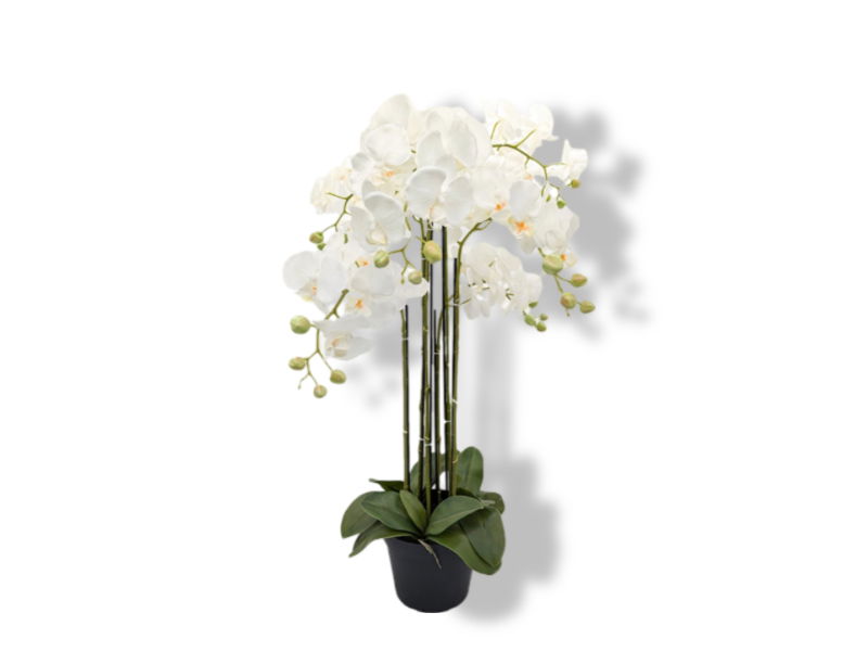 https://cdn.warentuin.nl/media/catalog/product/S/C/SCAN2500000250088_01_buitengewoon_de_boet_kunstbloem_orchidee_kunstp_2869.jpg