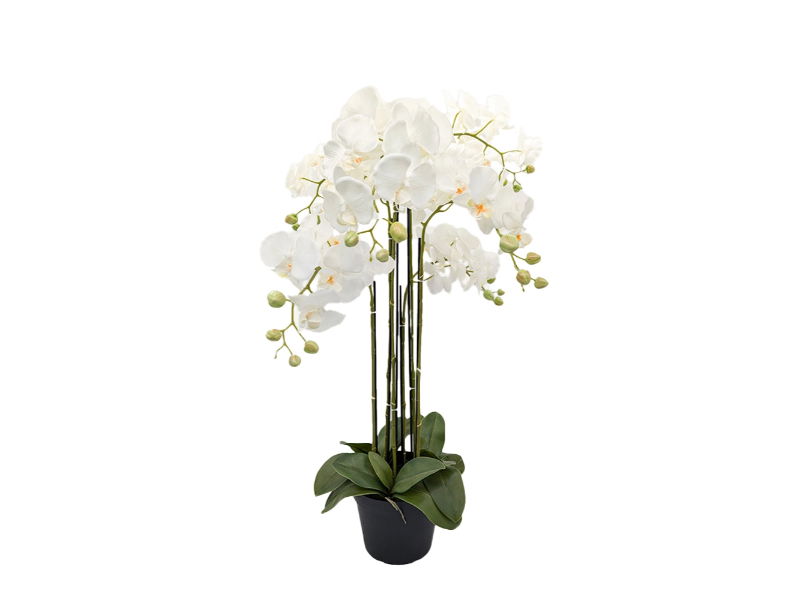 https://cdn.warentuin.nl/media/catalog/product/S/C/SCAN2500000250088_buitengewoon_de_boet_kunstbloem_orchidee_kunstp_f0fd.jpg