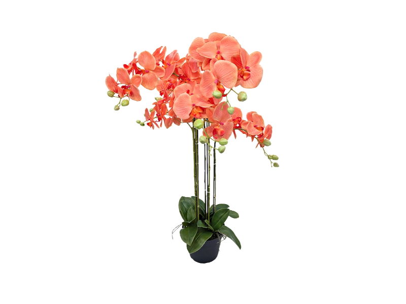https://cdn.warentuin.nl/media/catalog/product/S/C/SCAN2500000250095_buitengewoon_de_boet_kunstbloem_orchidee_kunstp_7f2e.jpg