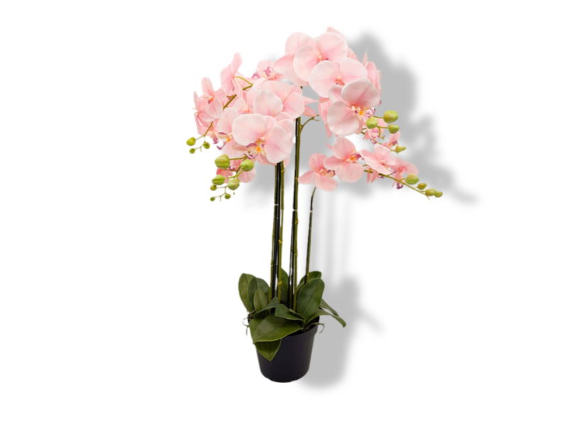 https://cdn.warentuin.nl/media/catalog/product/S/C/SCAN2500000250101_01_buitengewoon_de_boet_kunstbloem_orchidee_kunstp_f697.jpg