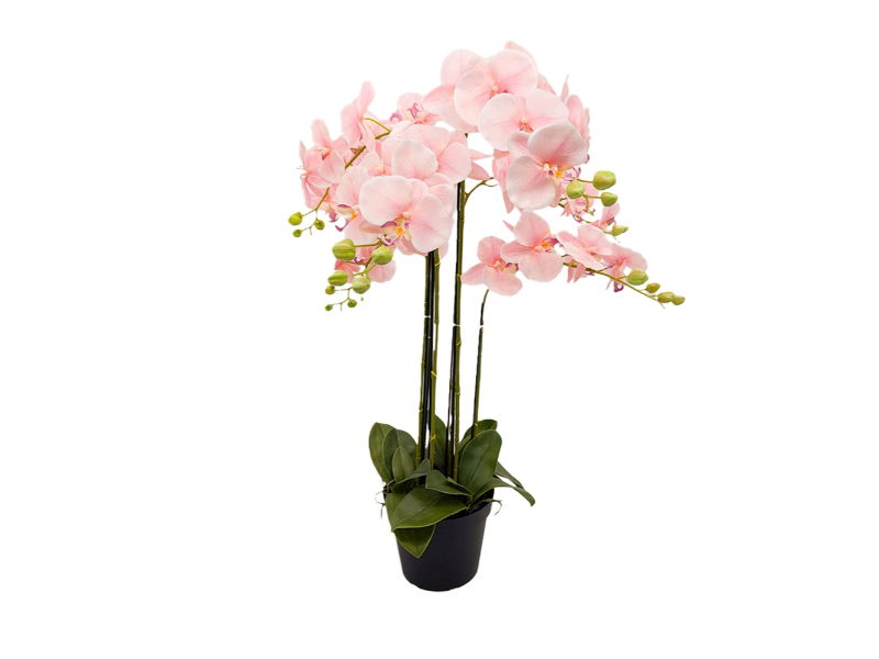 https://cdn.warentuin.nl/media/catalog/product/S/C/SCAN2500000250101_buitengewoon_de_boet_kunstbloem_orchidee_kunstp_8a6c.jpg