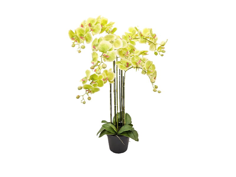 https://cdn.warentuin.nl/media/catalog/product/S/C/SCAN2500000250118_buitengewoon_de_boet_kunstbloem_orchidee_kunstp_8036.jpg