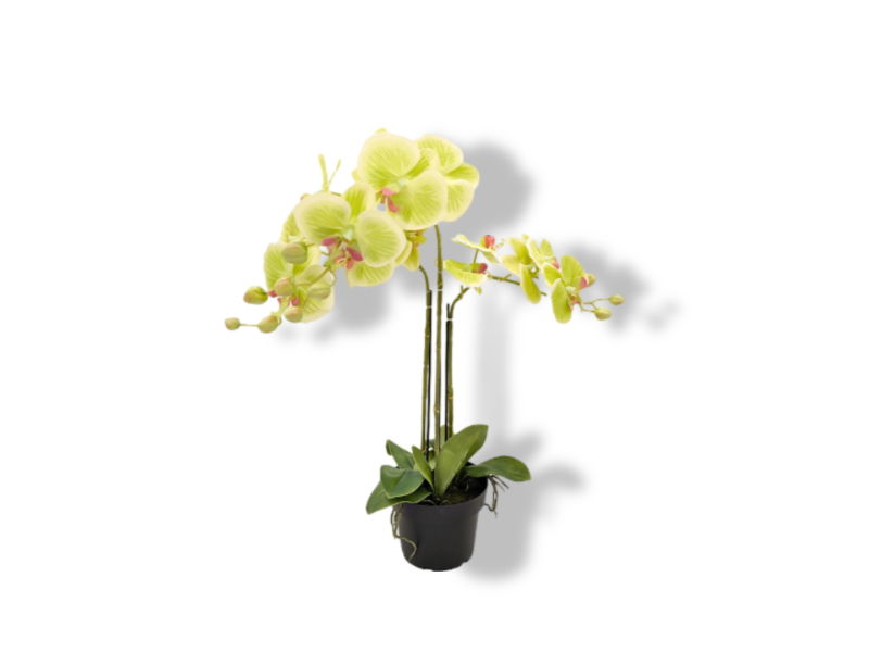 https://cdn.warentuin.nl/media/catalog/product/S/C/SCAN2500000250156_01_buitengewoon_de_boet_kunstbloem_orchidee_kunstp_287c.jpg