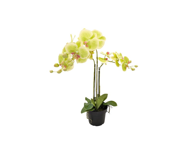 https://cdn.warentuin.nl/media/catalog/product/S/C/SCAN2500000250156_buitengewoon_de_boet_kunstbloem_orchidee_kunstp_ce30.jpg