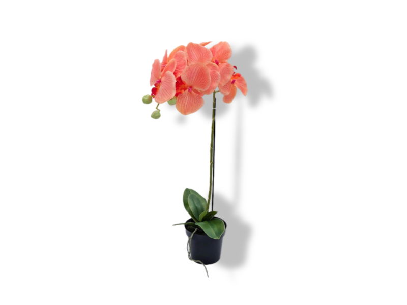 https://cdn.warentuin.nl/media/catalog/product/S/C/SCAN2500000250170_01_buitengewoon_de_boet_kunstbloem_orchidee_kunstp_b5d8.jpg