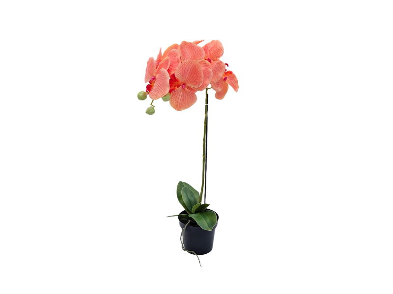 https://cdn.warentuin.nl/media/catalog/product/S/C/SCAN2500000250170_buitengewoon_de_boet_kunstbloem_orchidee_kunstp_d907.jpg