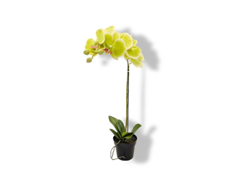 https://cdn.warentuin.nl/media/catalog/product/S/C/SCAN2500000250194_01_buitengewoon_de_boet_kunstbloem_orchidee_kunstp_0eae.jpg