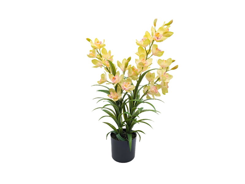 Cymbidium kunstplant 80 cm, groen - Buitengewoon de Boet