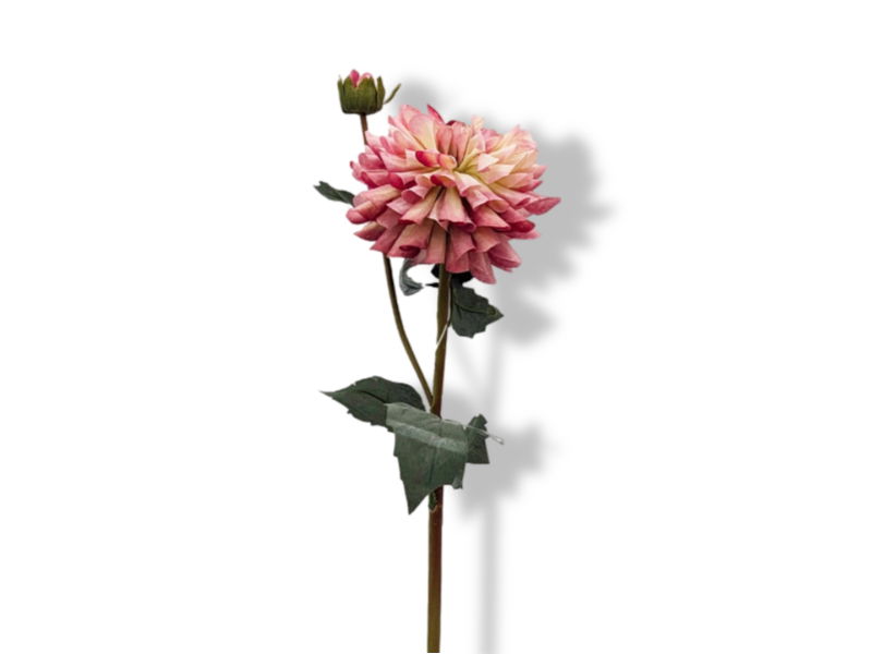 https://cdn.warentuin.nl/media/catalog/product/S/C/SCAN2500000253546_01_buitengewoon_de_boet_kunstbloem_kunstbloem_dahl_6bd4.jpg