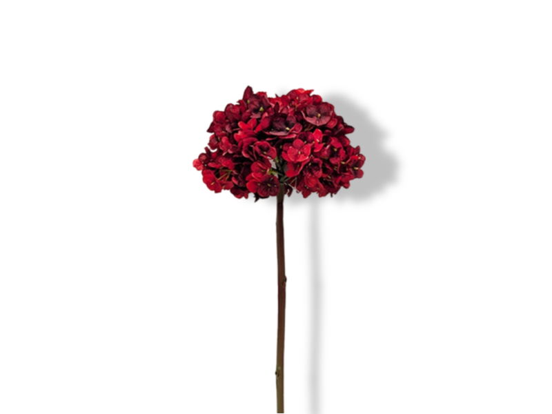 https://cdn.warentuin.nl/media/catalog/product/S/C/SCAN2500000253607_01_buitengewoon_de_boet_kunstbloem_kunstbloem_hort_4f75.jpg