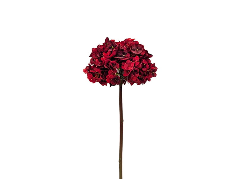 https://cdn.warentuin.nl/media/catalog/product/S/C/SCAN2500000253607_buitengewoon_de_boet_kunstbloem_kunstbloem_hort_be1a.jpg