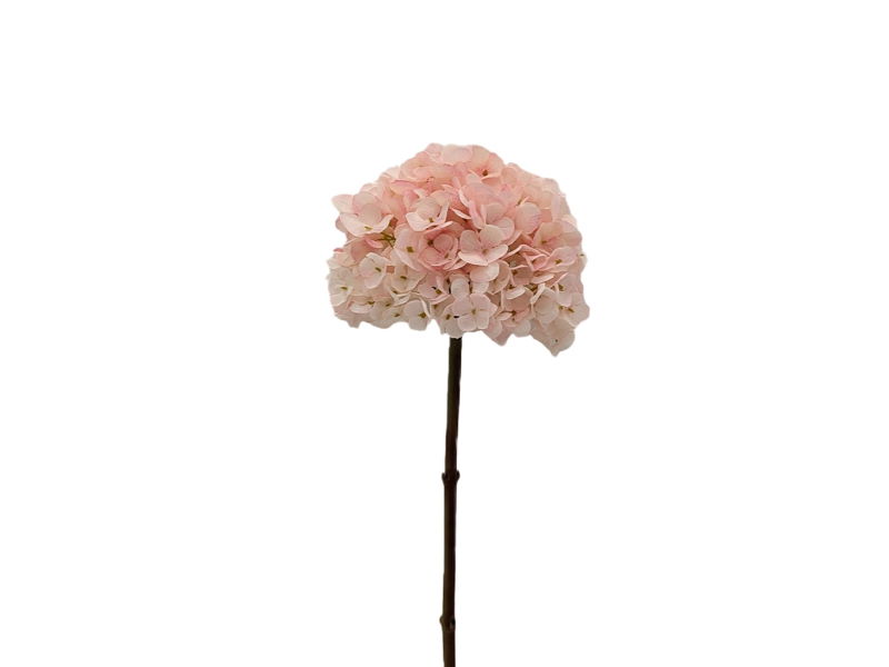https://cdn.warentuin.nl/media/catalog/product/S/C/SCAN2500000253621_buitengewoon_de_boet_kunstbloem_kunstbloem_hort_25e1.jpg