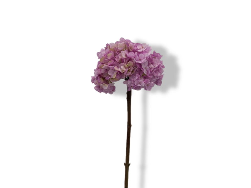 https://cdn.warentuin.nl/media/catalog/product/S/C/SCAN2500000253638_01_buitengewoon_de_boet_kunstbloem_kunstbloem_hort_95a0.jpg
