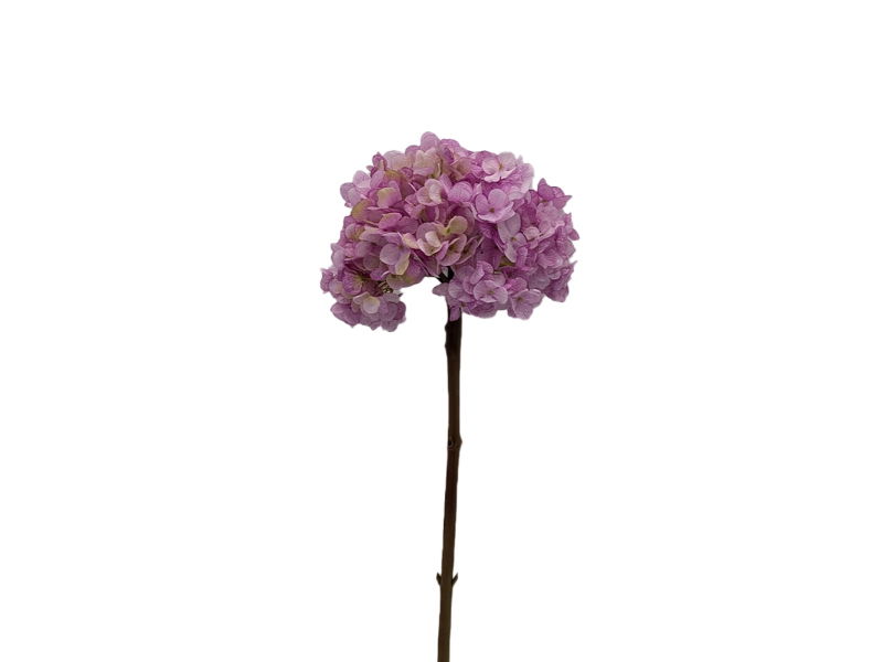 https://cdn.warentuin.nl/media/catalog/product/S/C/SCAN2500000253638_buitengewoon_de_boet_kunstbloem_kunstbloem_hort_15a3.jpg
