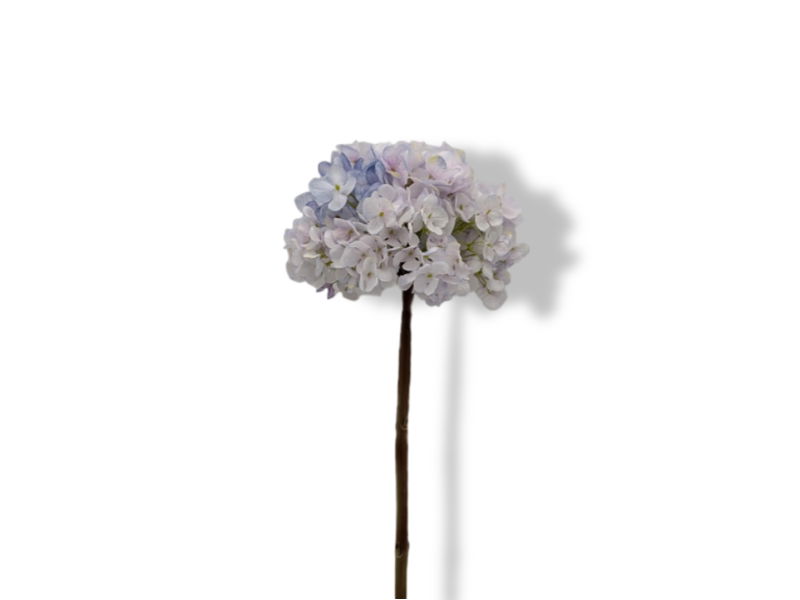 https://cdn.warentuin.nl/media/catalog/product/S/C/SCAN2500000253652_01_buitengewoon_de_boet_kunstbloem_kunstbloem_hort_778e.jpg