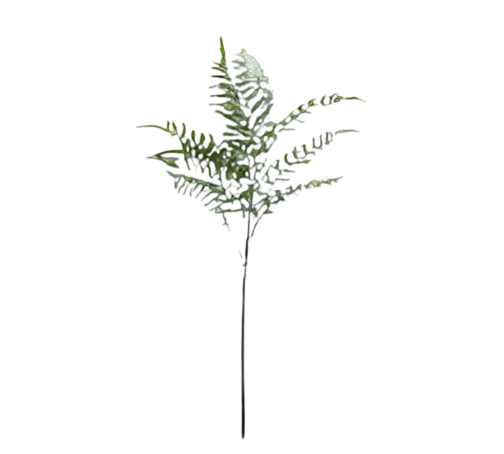 https://cdn.warentuin.nl/media/catalog/product/S/C/SCAN2500000254758_01_5fcf.png