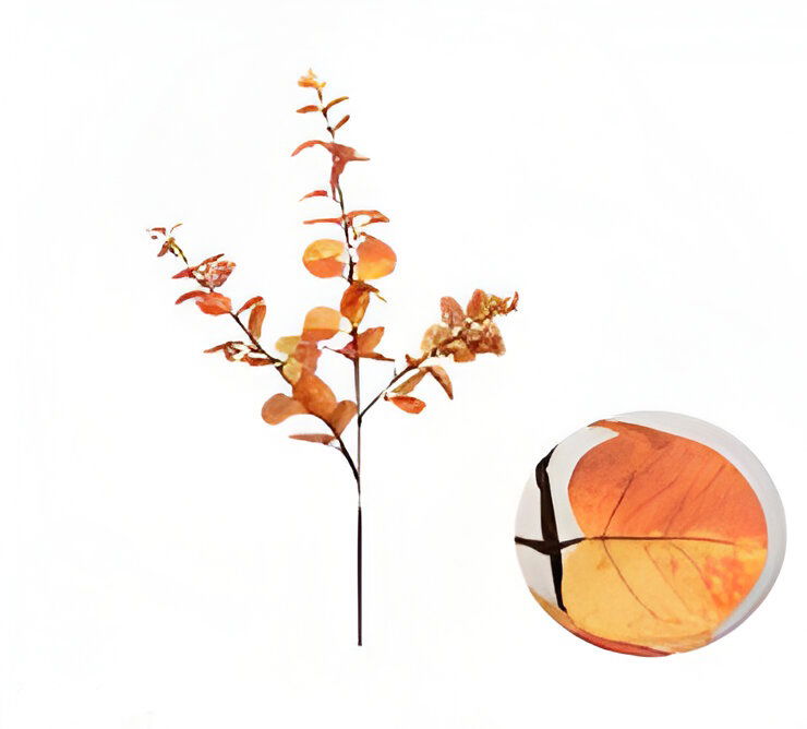 https://cdn.warentuin.nl/media/catalog/product/S/C/SCAN2500000254772_money_leaf_tak_oranje_104_cm_buitengewoon_de_boet_f456.jpg