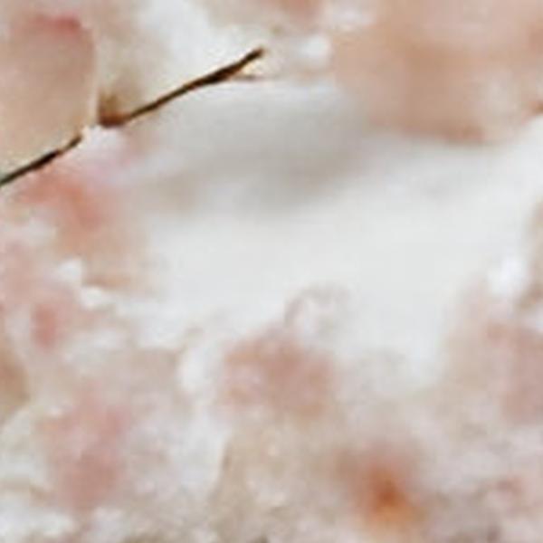 https://cdn.warentuin.nl/media/catalog/product/S/C/SCAN2500000254802_01_kersenbloesem_guirlande_roze_180_cm_buitengewoon_de_boet_5b51.jpg