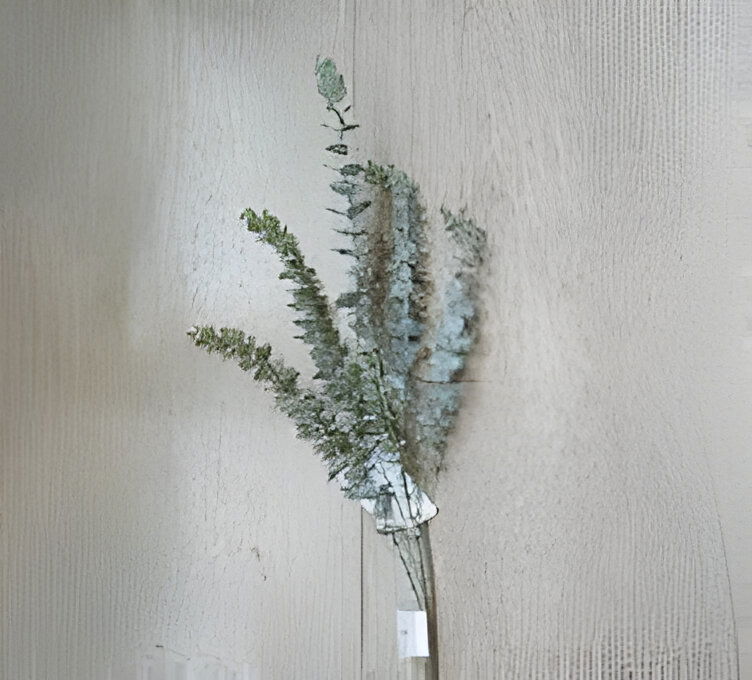 https://cdn.warentuin.nl/media/catalog/product/S/C/SCAN2500000254819_eucalyptus_tak_groen_78_cm_buitengewoon_de_boet_c639.jpg