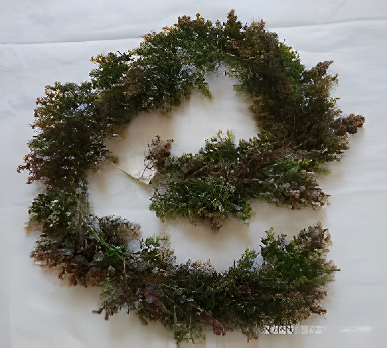 https://cdn.warentuin.nl/media/catalog/product/S/C/SCAN2500000254826_eucalyptus_guirlande_rood_groen_190_cm_buitengewoon_de_boet_6ec9.jpg