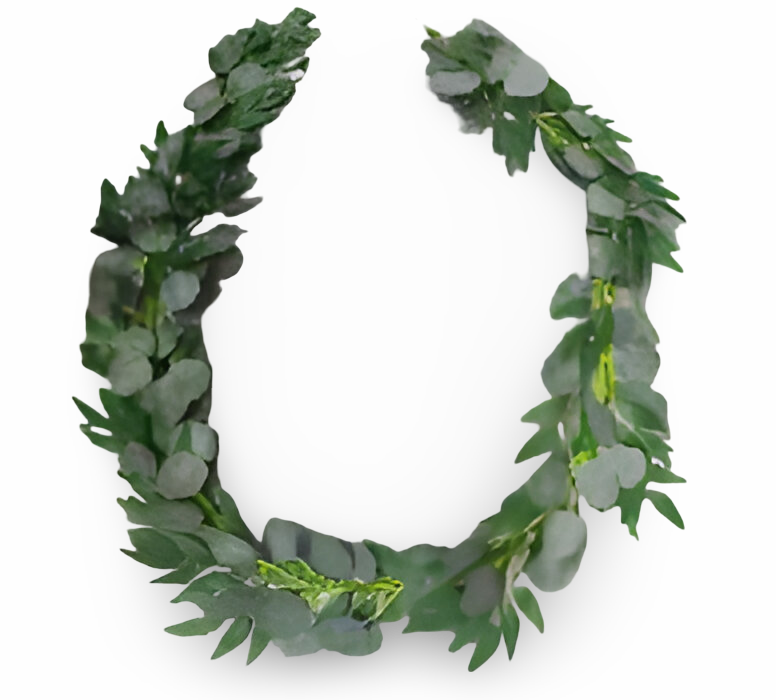 https://cdn.warentuin.nl/media/catalog/product/S/C/SCAN2500000254833_01_2ee3.png