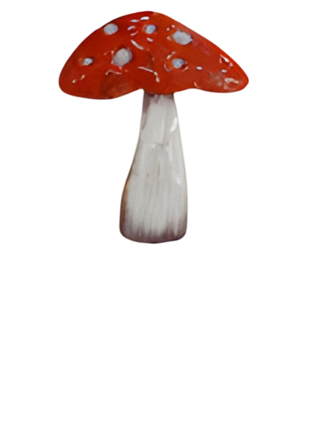 https://cdn.warentuin.nl/media/catalog/product/S/C/SCAN2500000255229_steker_ijzer_paddenstoel_16x45_cm_i_buitengewoon_de_boet_8f70.png