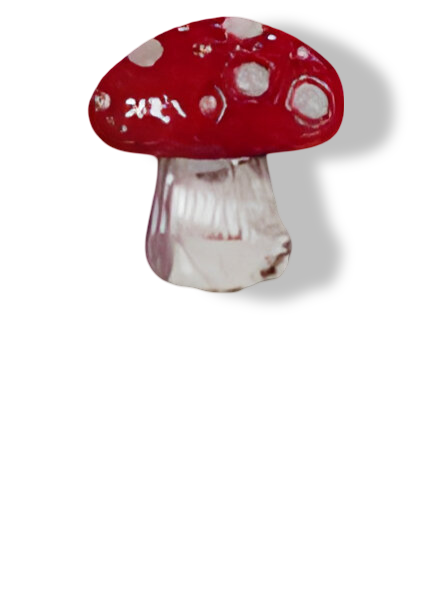 https://cdn.warentuin.nl/media/catalog/product/S/C/SCAN2500000255236_01_steker_ijzer_paddenstoel_16x45_cm_ii_buitengewoon_de_boet_f2ff.png