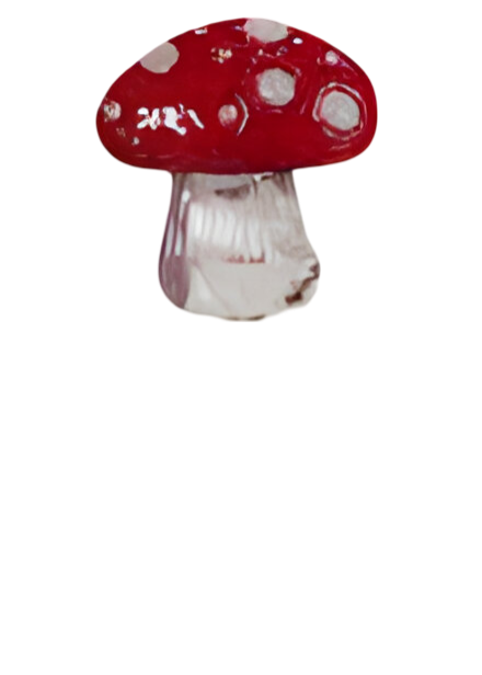 https://cdn.warentuin.nl/media/catalog/product/S/C/SCAN2500000255236_steker_ijzer_paddenstoel_16x45_cm_ii_buitengewoon_de_boet_6a59.png