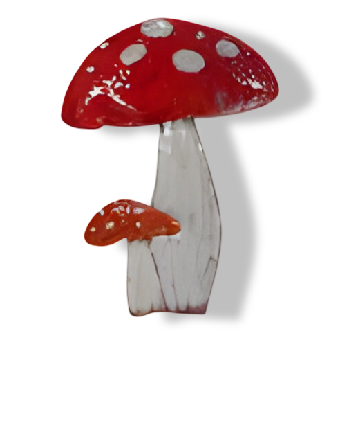 https://cdn.warentuin.nl/media/catalog/product/S/C/SCAN2500000255243_01_steker_ijzer_2_paddenstoelen_35x80_cm_buitengewoon_de_boet_23d2.png