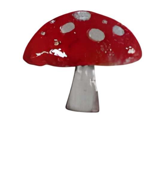 https://cdn.warentuin.nl/media/catalog/product/S/C/SCAN2500000255250_steker_ijzer_paddenstoel_l_35x60_cm_buitengewoon_de_boet_3657.png
