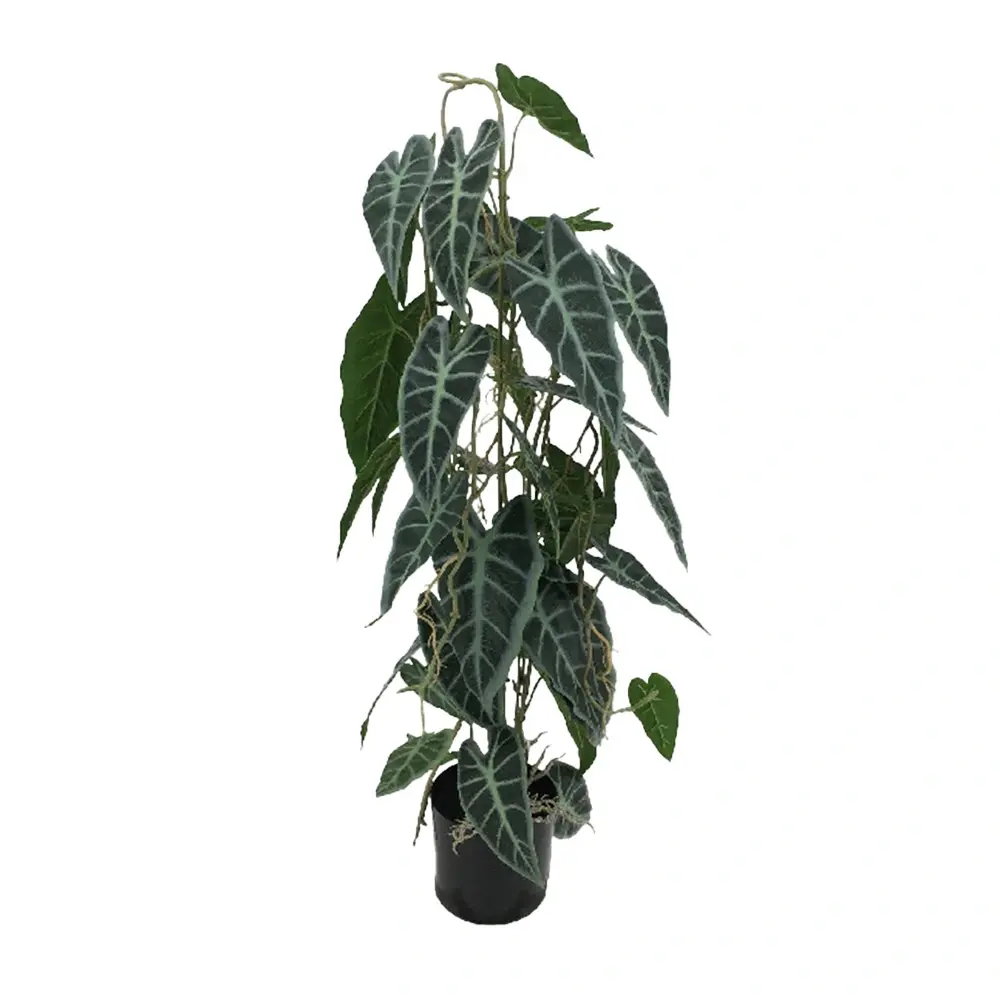 https://cdn.warentuin.nl/media/catalog/product/S/C/SCAN2500000255410_caladium_in_pot_77_cm_kunstplant_buitengew_be25.jpg