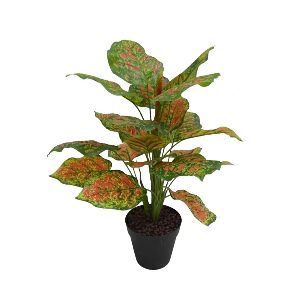 https://cdn.warentuin.nl/media/catalog/product/S/C/SCAN2500000255533_rohdea_in_pot_45_cm_kunstplant_buitengewoo_895e.jpg