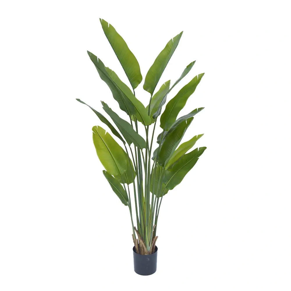 https://cdn.warentuin.nl/media/catalog/product/S/C/SCAN2500000255601_strelitzia_210_cm_kunstplant_buitengewoon__b72a.jpg