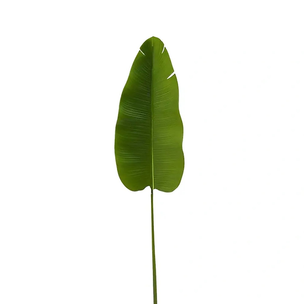 https://cdn.warentuin.nl/media/catalog/product/S/C/SCAN2500000255670_strelitziablad_136_cm_kunsttak_buitengewoo_c558.jpg