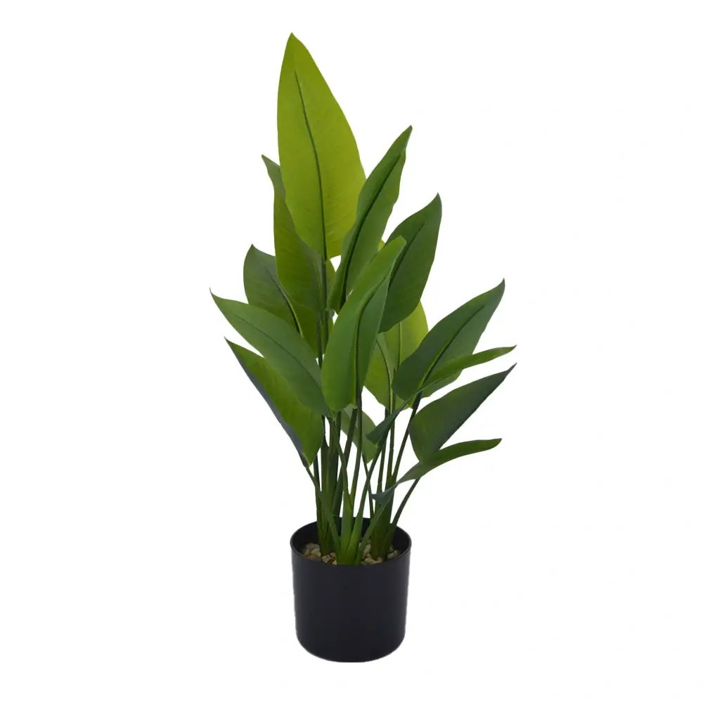 https://cdn.warentuin.nl/media/catalog/product/S/C/SCAN2500000255786_strelitzia_70_cm_kunstplant_buitengewoon_d_80e0.jpg