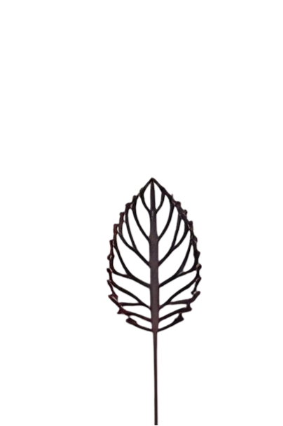 https://cdn.warentuin.nl/media/catalog/product/S/C/SCAN2500000257438_steker_herfstblad_11x40_cm_buitengewoon_de_boet_eeb2.png