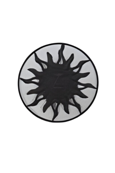 https://cdn.warentuin.nl/media/catalog/product/S/C/SCAN2500000257483_wanddeco_ijzer_zon_39_cm_buitengewoon_de_boet_c557.png