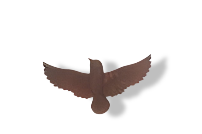 https://cdn.warentuin.nl/media/catalog/product/S/C/SCAN2500000257629_01_wanddeco_ijzer_vogel_s_23x12x2_5_cm_buitengewoon_de_boet_afbc.png