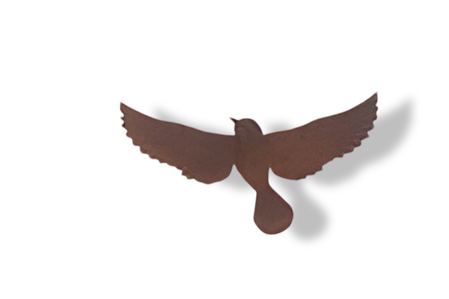 https://cdn.warentuin.nl/media/catalog/product/S/C/SCAN2500000257636_01_wanddeco_ijzer_vogel_l_26x15_cm_buitengewoon_de_boet_61c0.png