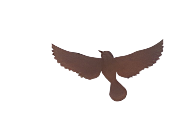 https://cdn.warentuin.nl/media/catalog/product/S/C/SCAN2500000257636_wanddeco_ijzer_vogel_l_26x15_cm_buitengewoon_de_boet_b98b.png