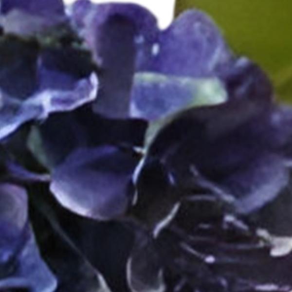 https://cdn.warentuin.nl/media/catalog/product/S/C/SCAN2500000259555_01_kunst_hortensia_tak_blauw_62_cm_buitengewoon_de_boet_8ff2.jpg